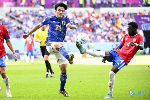 其他同龄球 其他同龄球