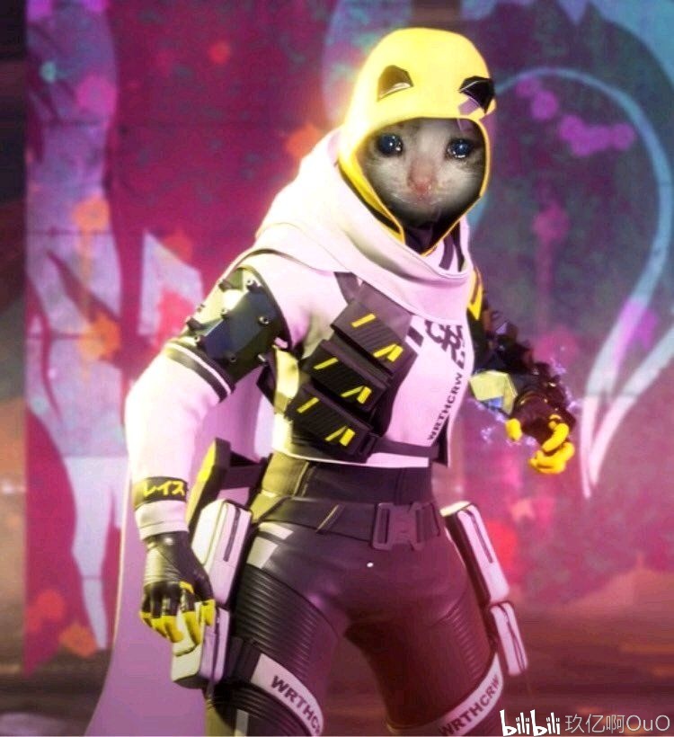 是稀缺的上 是稀缺的上